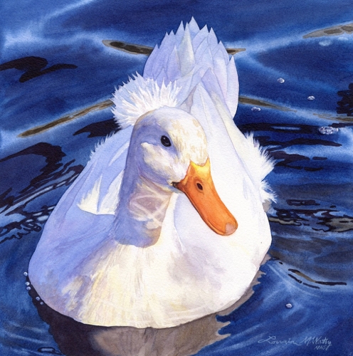Crested Duck 10x10 $770 by Lorraine Watry